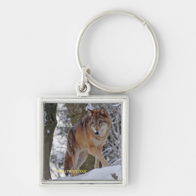 Llavero Cadena de llaves del lobo de Yellowstone (Frente)
