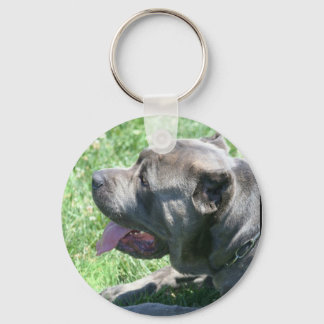 Llavero Cadena de teclas Cane Corso