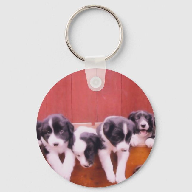 Llavero Cadena de teclas Cul Border Collie Puppies (Anverso)