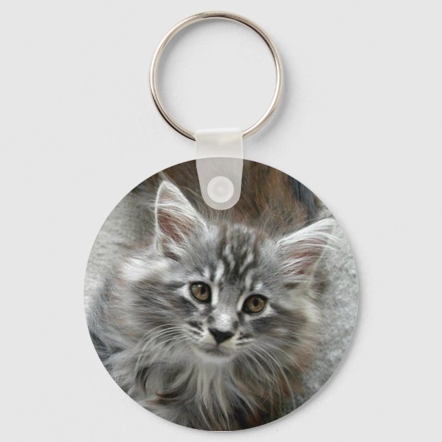 Llavero Cadena de teclas de gatito de Maine Coon (Anverso)
