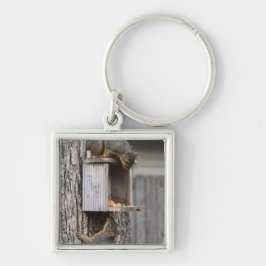 Llavero Cadena de teclas de la ardilla