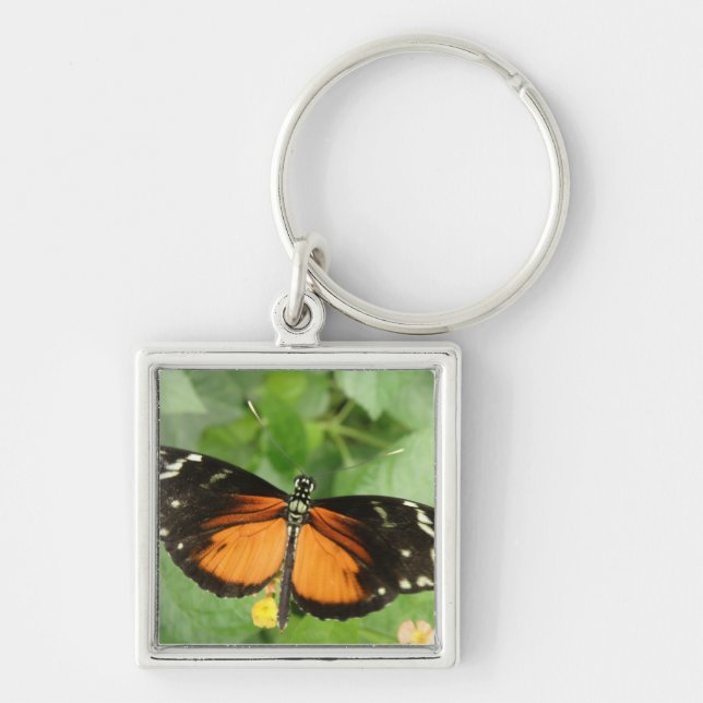 Llavero Cadena de teclas de la mariposa de larga duración  (Frente)