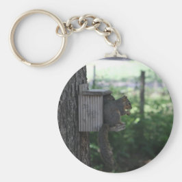 Llavero Cadena de teclas de las ardillas