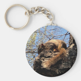 Llavero Cadena de teclas de las ardillas