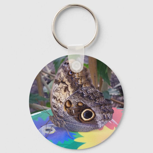 Llavero Cadena de teclas de mariposa (Anverso)