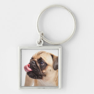 Llavero Cadena de teclas de perro 1