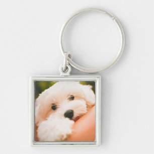 Llavero Cadena de teclas de perro 9