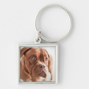 Llavero Cadena de teclas de perro lindo 11