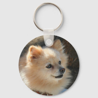 Llavero Cadena de teclas de Pomerania