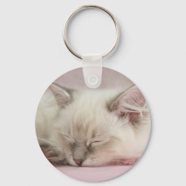 Llavero cadena de teclas ragdoll kitten