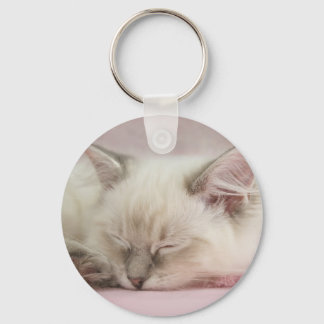 Llavero cadena de teclas ragdoll kitten