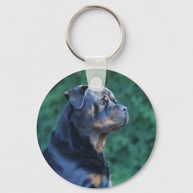 Llavero Cadena de teclas Rottweiler (Anverso)