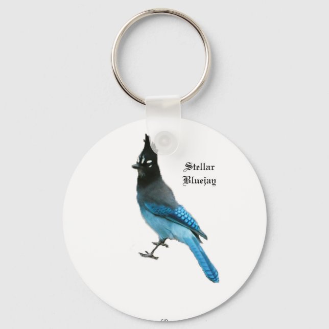 Llavero Cadena de teclas Stellar Blue Jay (Anverso)