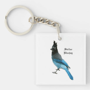Llavero Cadena de teclas Stellar Blue Jay