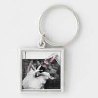 Cadena fotográfica personalizada de chorro de sang