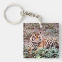 Cadena Keychain de Sumatran Tiger Square (doble ca