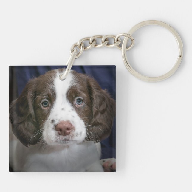 Llavero Cadena personalizada de llave Mascota de perro por (Atrás)
