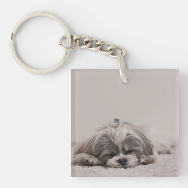 Llavero Cadena Shih Tzu personalizada, Perro durmiente (Frente)