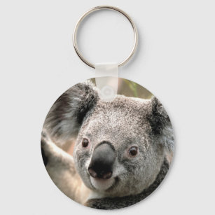 Llavero Cadenas de llaves del oso de Koala