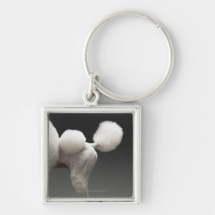 Llavero Caderas del caniche, en fondo gris