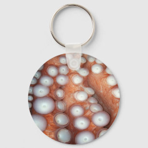Llavero Caer en el pulpo cercano