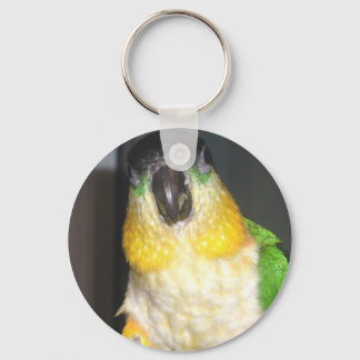 Llavero Caique