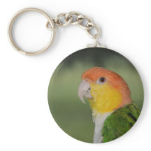 Caique Parrot al aire libre con vigas blancas