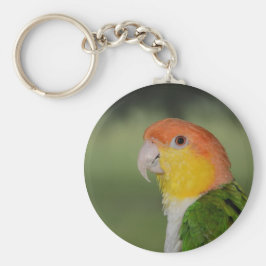 Llavero Caique Parrot al aire libre con vigas blancas