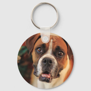 Llavero Caja de Boxer Adorable