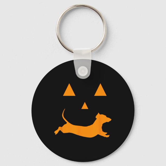 Llavero Calabaza de Halloween Dachshund vestido de lintern (Anverso)