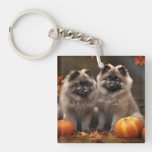 Llavero Calabaza deslumbrante de Keeshond Puppy Autumn (Frente)