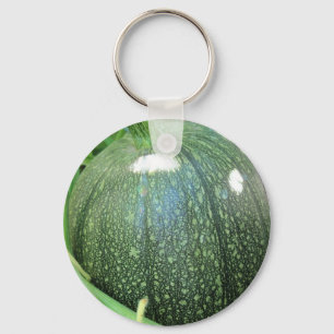 Llavero Calabaza verde