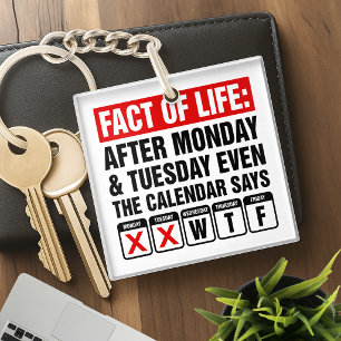 Llavero Calendario de Hechos de la Vida Dice Humor WTF