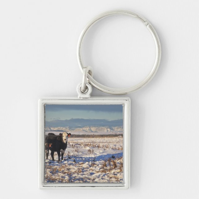 Llavero Calgary, Alberta, Canadá (Frente)