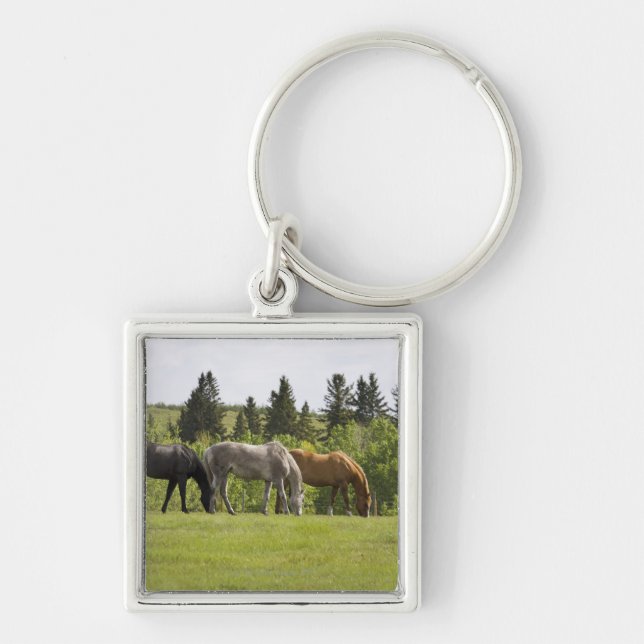 Llavero Calgary, Alberta, Canadá (Frente)