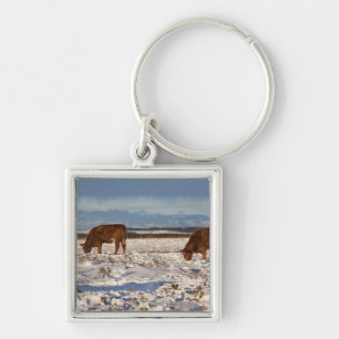 Llavero Calgary, Alberta, Canadá 2