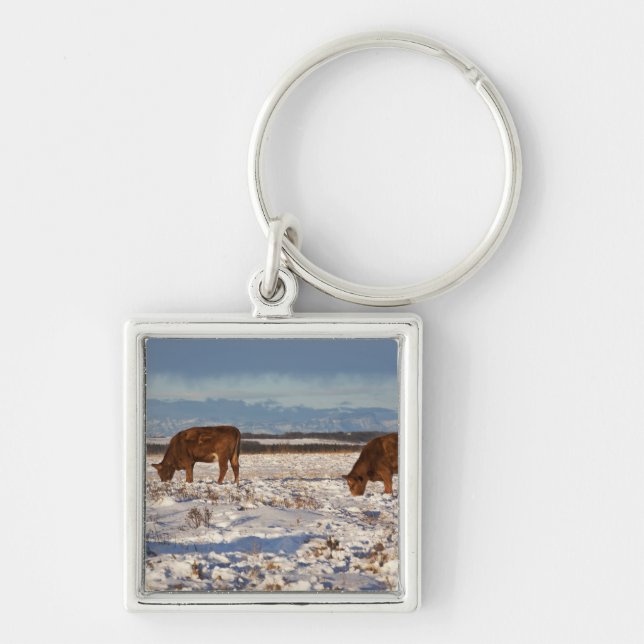 Llavero Calgary, Alberta, Canadá 2 (Frente)