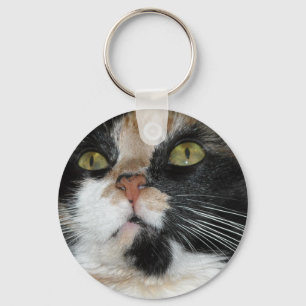 Llavero Calico Cat