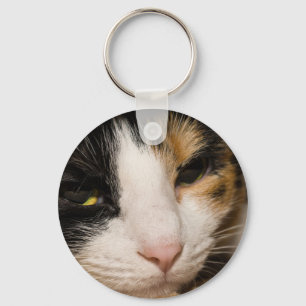 Llavero Calico Face
