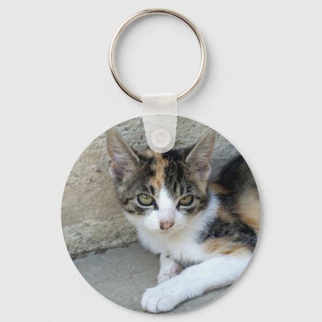 Llavero Calico Kitten (Anverso)