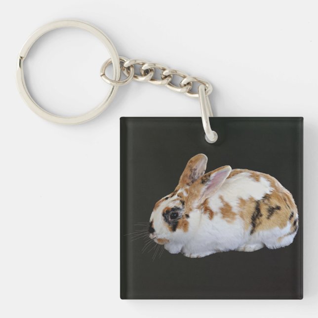 Llavero Calico Rabbit (Frente)