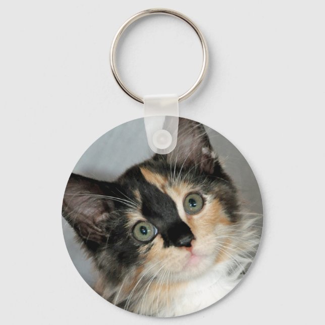 Llavero Calico Shelter Keychain (Anverso)