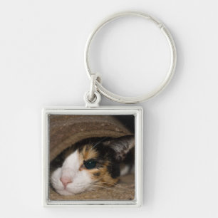 Llavero Calico Taco