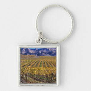 Llavero California, Condado de San Luis Obispo, Edna Valle