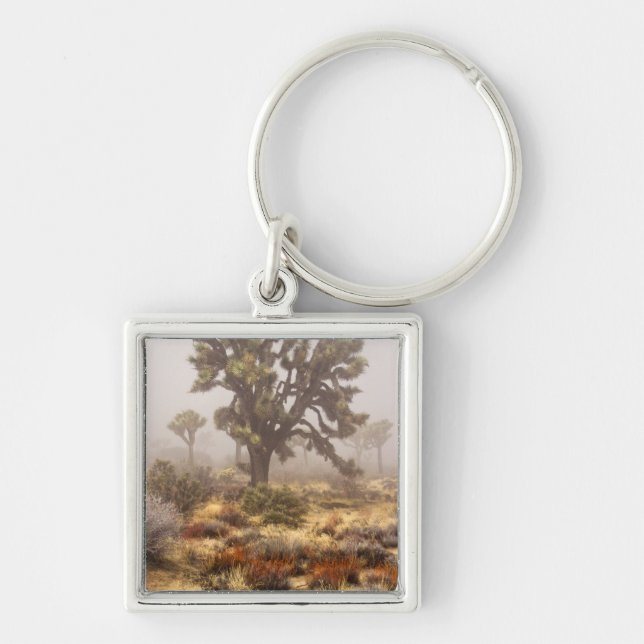 Llavero California: Monumento Nacional Joshua Tree, (Frente)