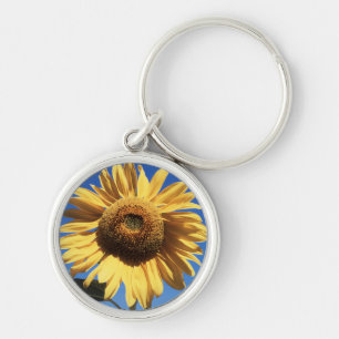 Llavero California, Un Girasol Gigante (Helianthus) 3