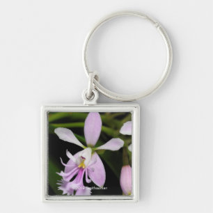 Llavero Caligarium del Epidendrum