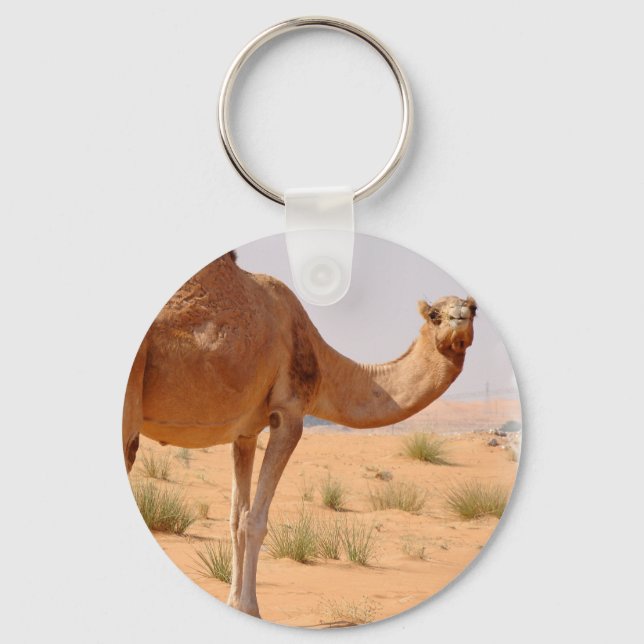 Llavero Camel para la cadena de claves árabes (Anverso)