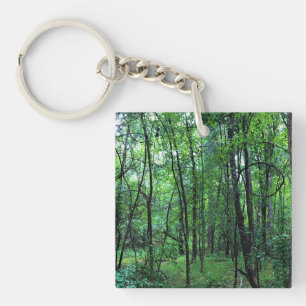 Llavero Caminando por el bosque, Chester, Carolina del Sur