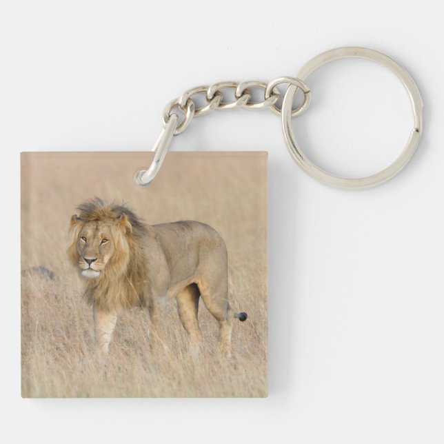 Llavero Caminata de leones (Atrás)